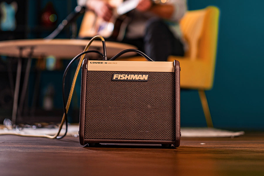 Fishman Loudbox Micro acoustic amplifier