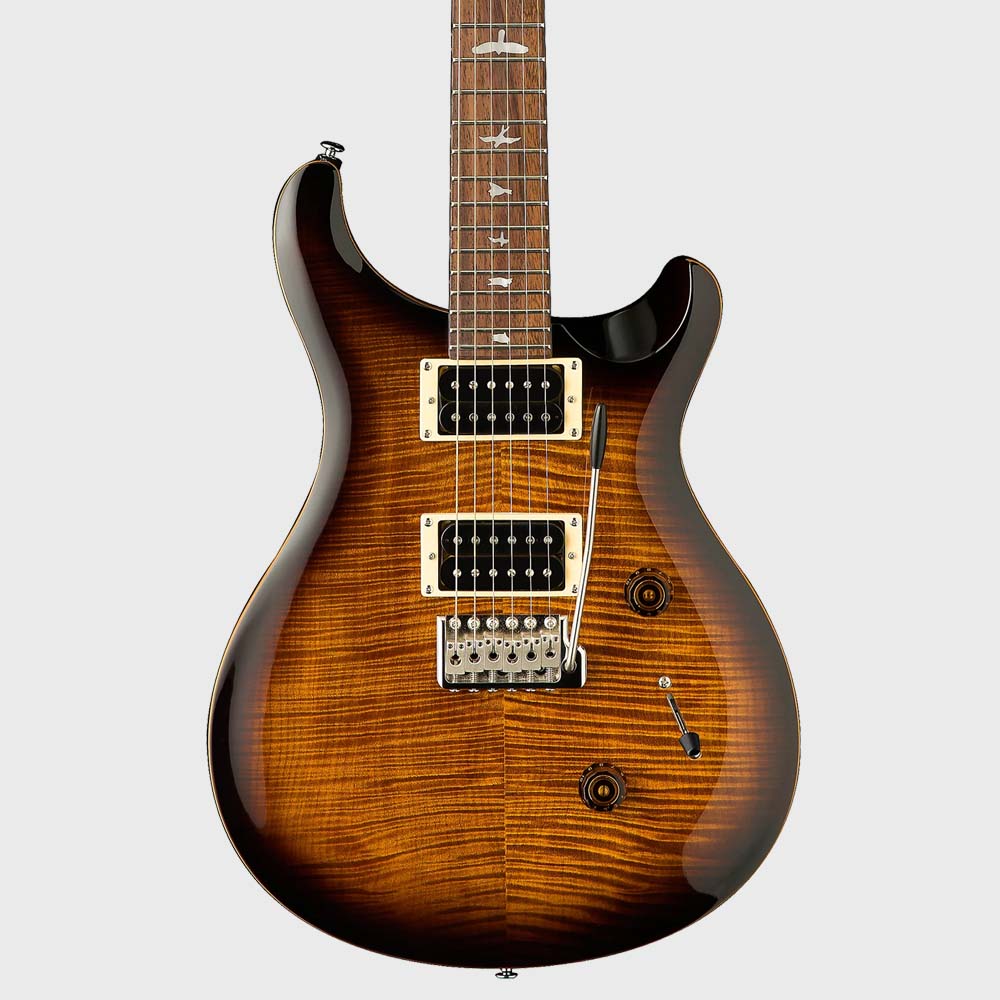 Electric Guitars