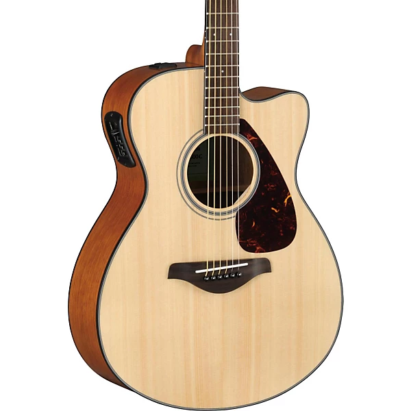 Acoustic guitar 