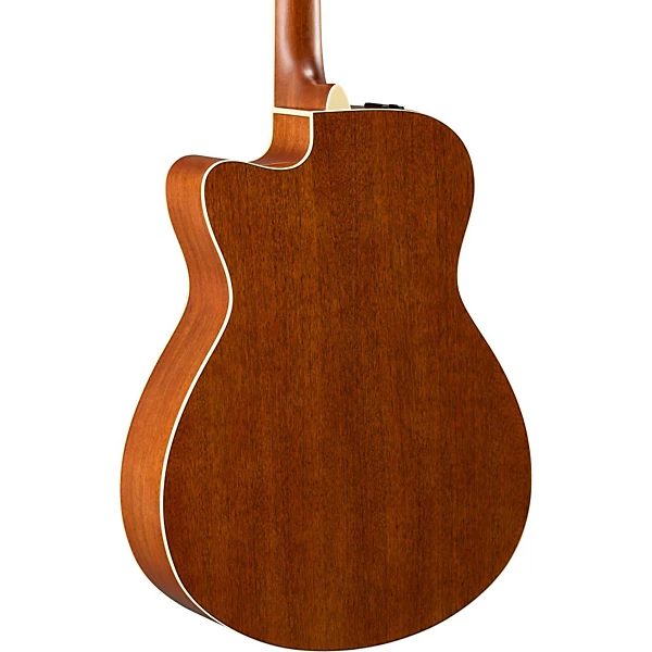 Acoustic guitar back