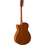 Acoustic guitar 