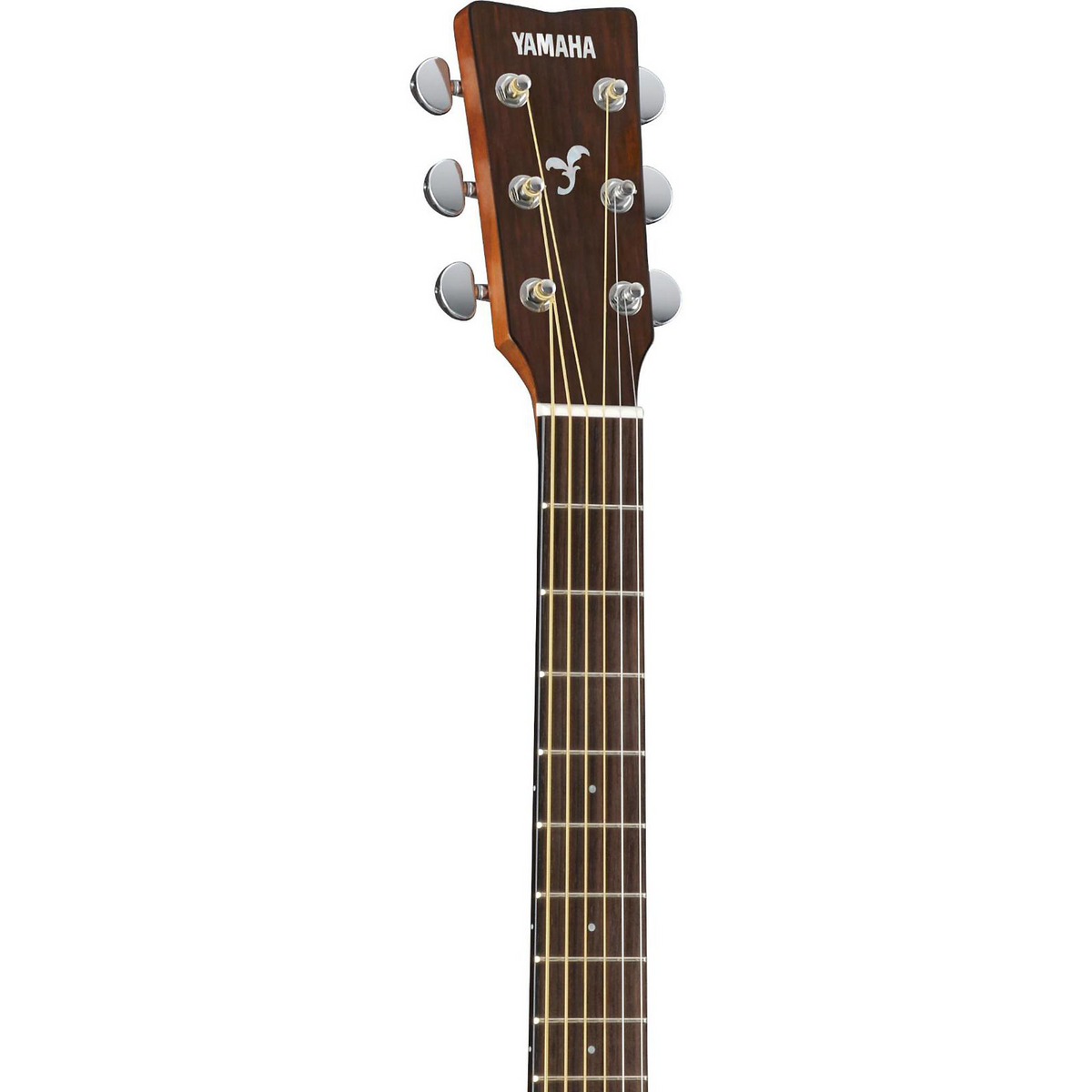 Acoustic guitar neck and headstock