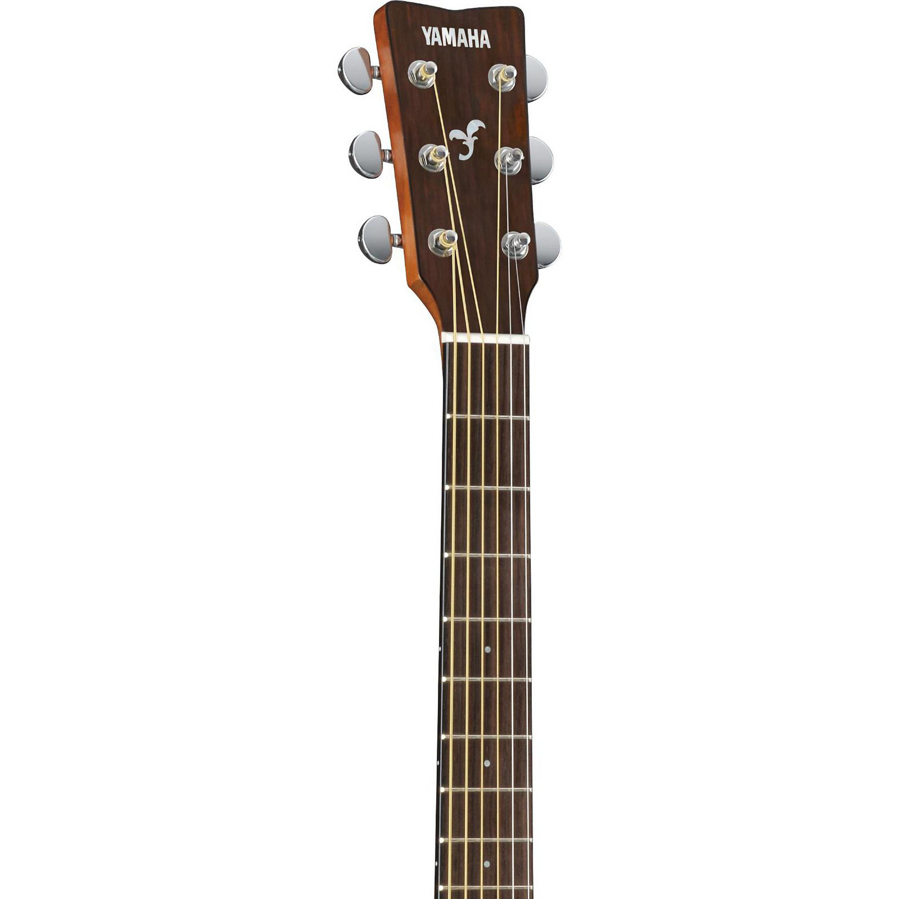 Acoustic guitar neck and headstock