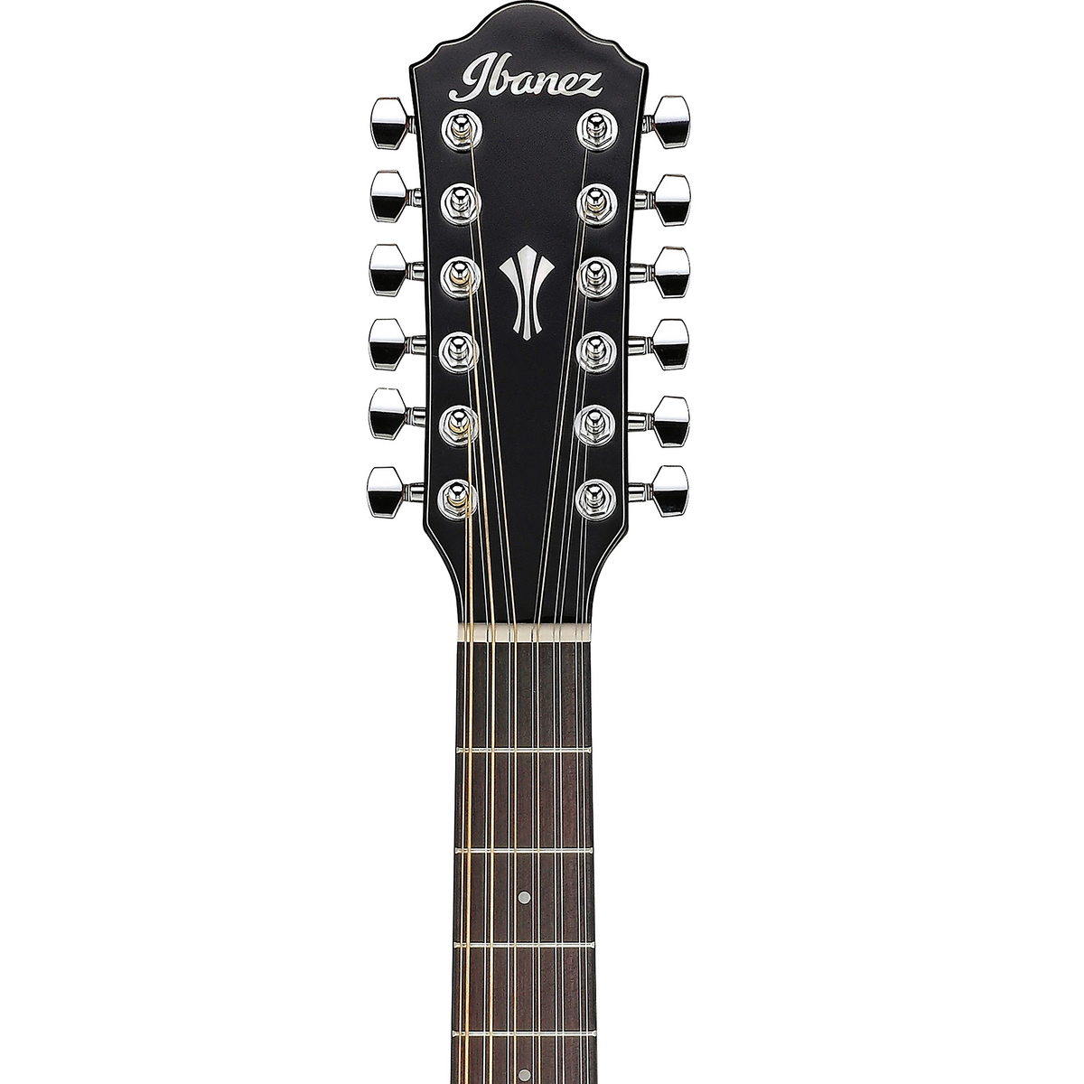 Ibanez Acoustic guitar headstock