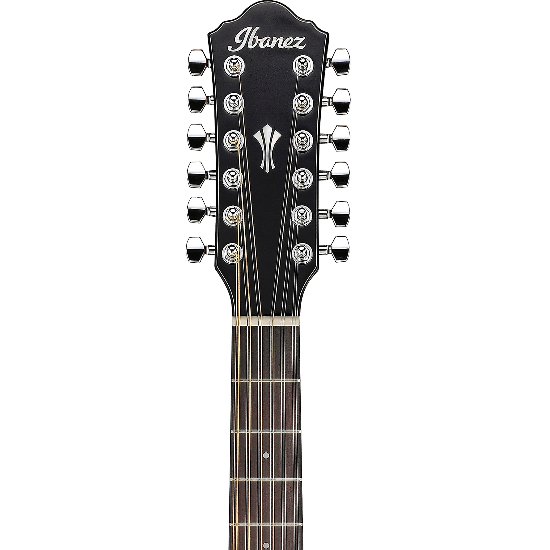 Ibanez Acoustic guitar headstock