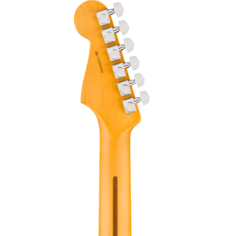 Fender American Professional Stratocaster Electric Guitar - Natural headstock, back