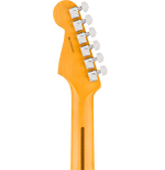 Fender American Professional Stratocaster Electric Guitar - Natural headstock, back