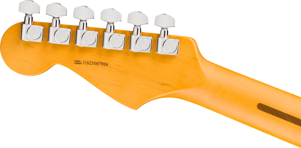 Fender American Professional Stratocaster Electric Guitar - Dark Night headstock, back