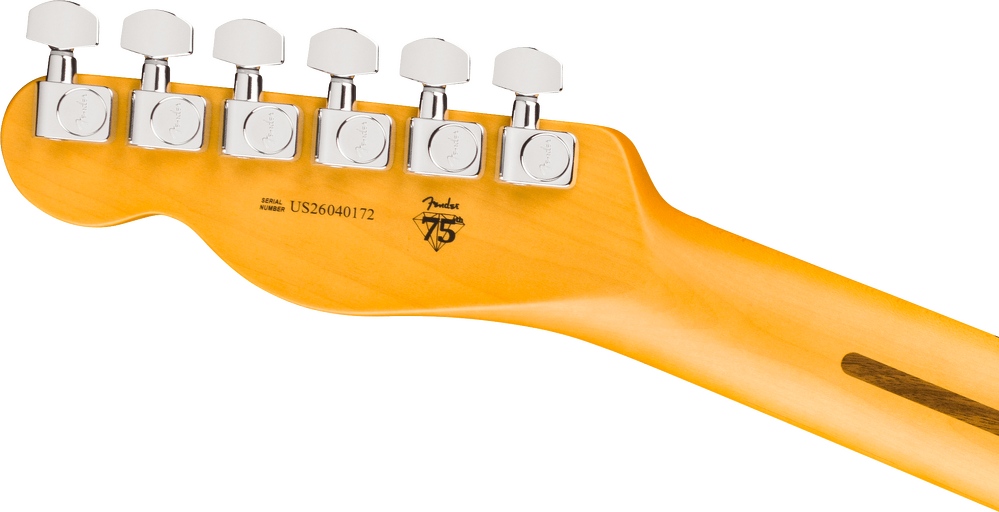 Fender American Professional Telecaster Electric Guitar - Natural headstock, back