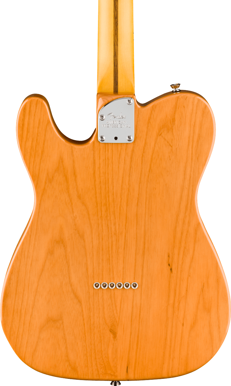 Fender American Professional Telecaster Electric Guitar - Natural — three-quarter back view