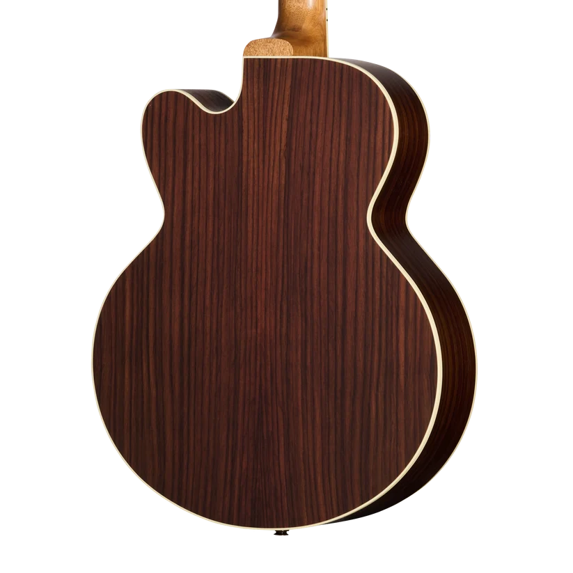 Gibson Parlor Rosewood EC Acoustic Electric Guitar - Rosewood Burst — three-quarter back view