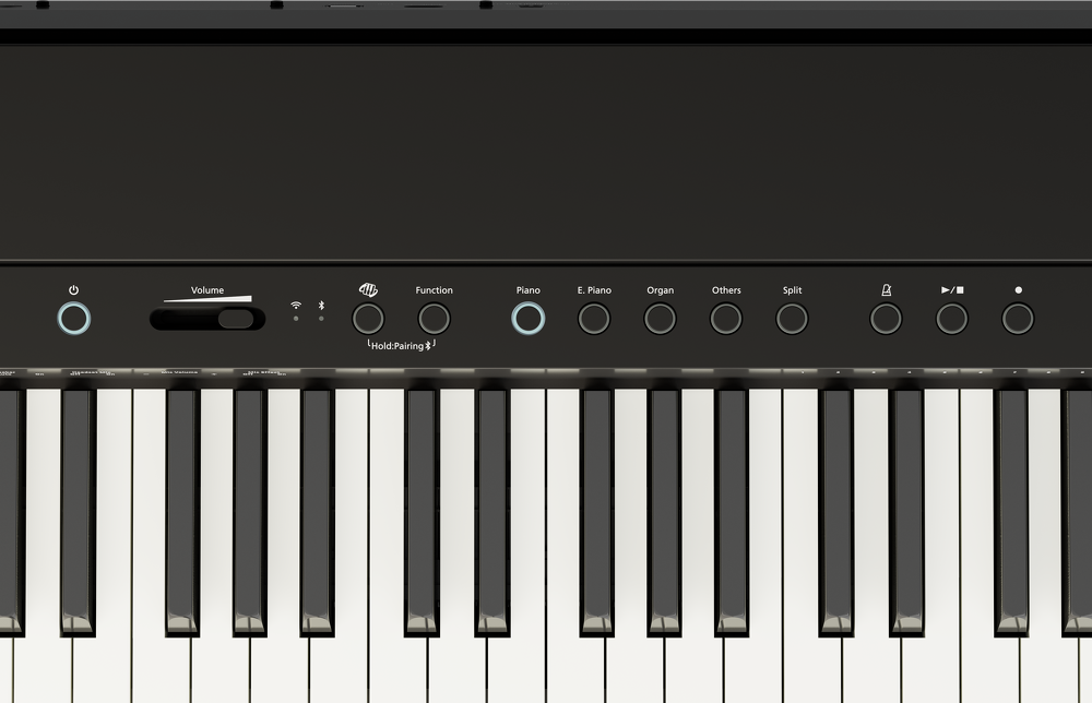 Roland FP-40 88 Key Digital Piano - Black — Front 1