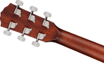 Fender CC-60S Concert Pack - Mahogany headstock, back