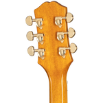 Epiphone Sheraton Semi Hollow-Body Electric Guitar - Natural headstock, back