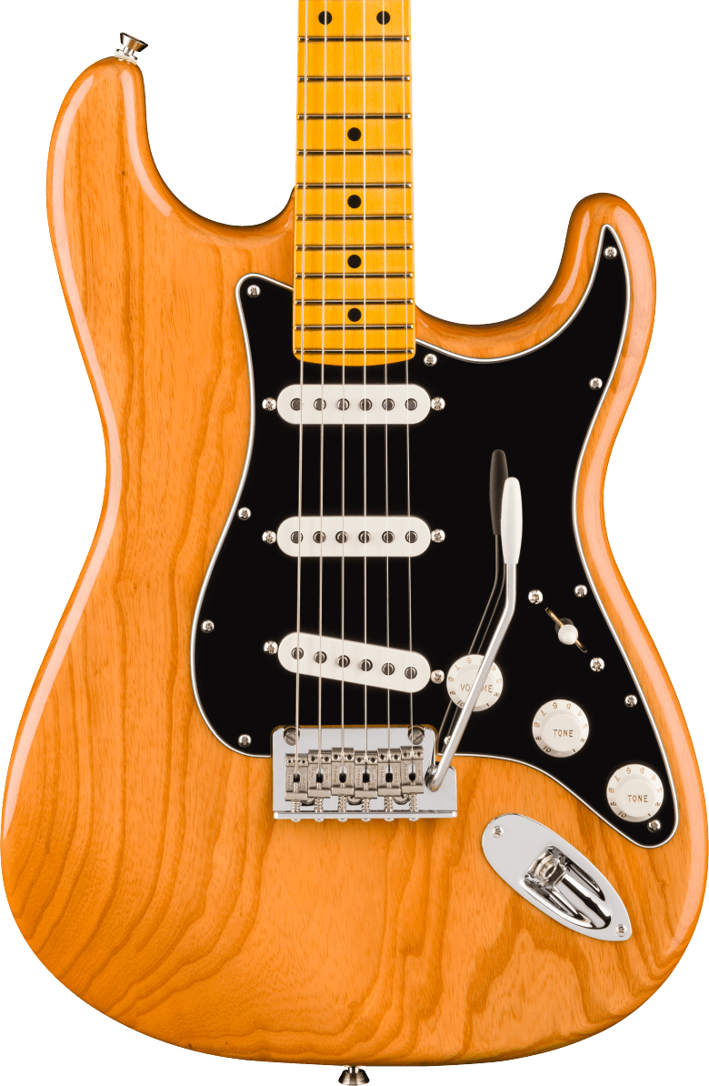 Fender American Professional Stratocaster Electric Guitar - Natural — three-quarter front view