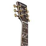 Ibanez AC391CEBKH Artwood Series Acoustic Electric Guitar - Black High Gloss headstock