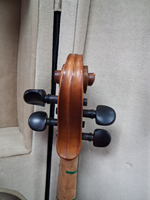 Used Sandner Model 40015 15" Viola - With Case and Bow headstock, back
