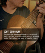 Elixir Attune Phosphor Bronze Acoustic Guitar Strings - Light — Lifestyle 1