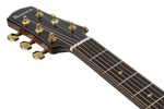 Ibanez AAD381CENT Advanced Acoustic Series Acoustic Guitar - Natural High Gloss headstock