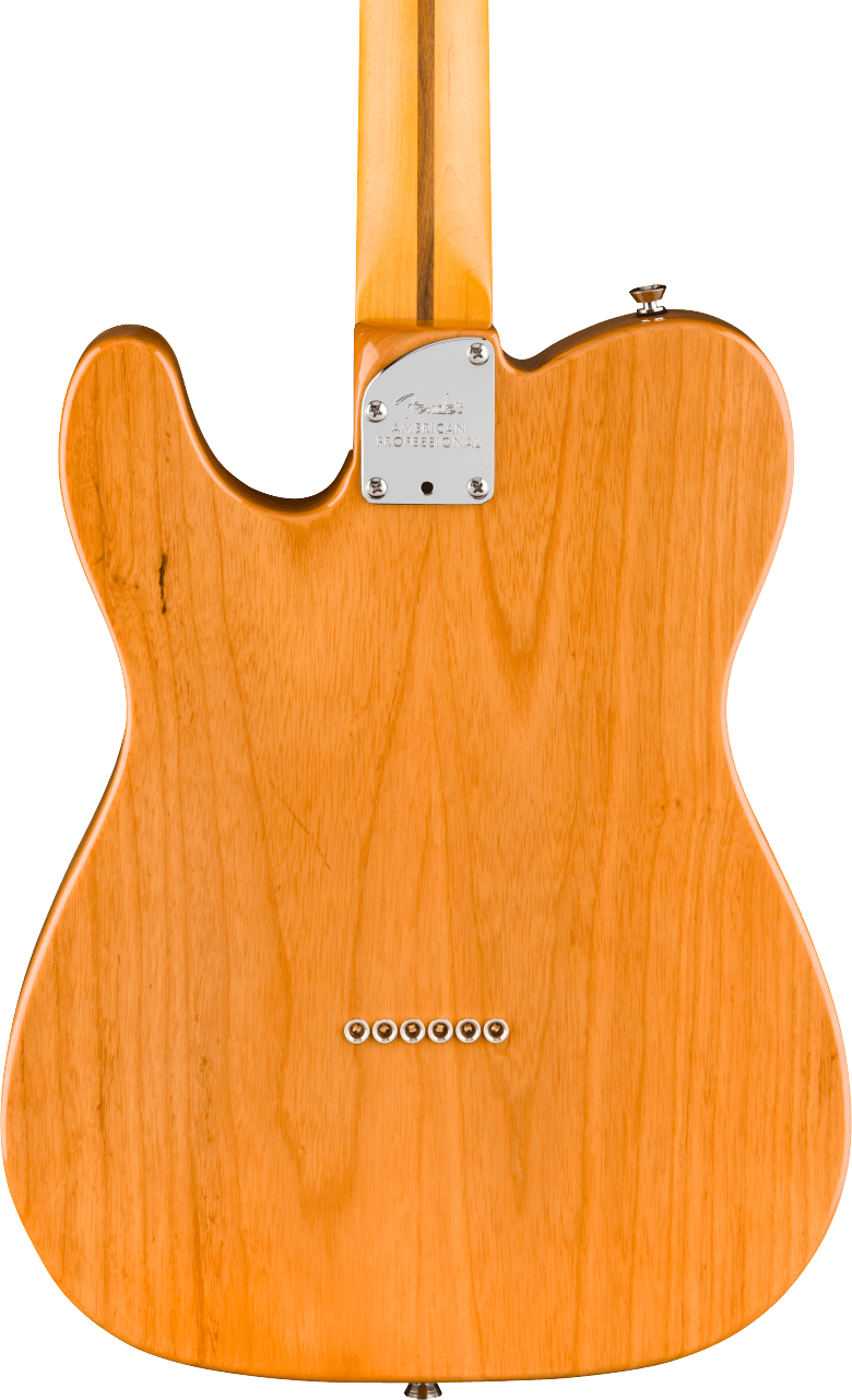 Fender American Professional Telecaster Electric Guitar - Natural — three-quarter back view