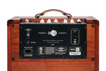 Taylor Circa74 Mahogany Acoustic Amplifier rear panel showing connections and controls