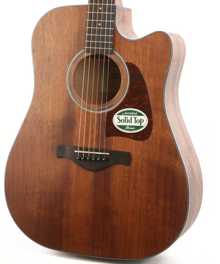 Ibanez AW54CEOPN Artwood Dreadnought Acoustic-Electric Guitar (Open Pore Natural) 6