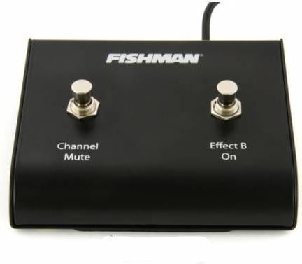 Fishman Loudbox Amplifier Dual Footswitch 2