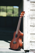 Kala MK-C Makala Concert Ukulele 6