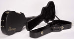 Ibanez AEB50C Hardshell Case for AEB10 Acoustic Bass 2