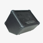 Powerwerks PW4P 50-Watt Personal Powered Monitor 4
