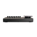 Blackstar ID:X Floor 2 Floorboard Multi-Effects Pedal With Expression Pedal - Black 4