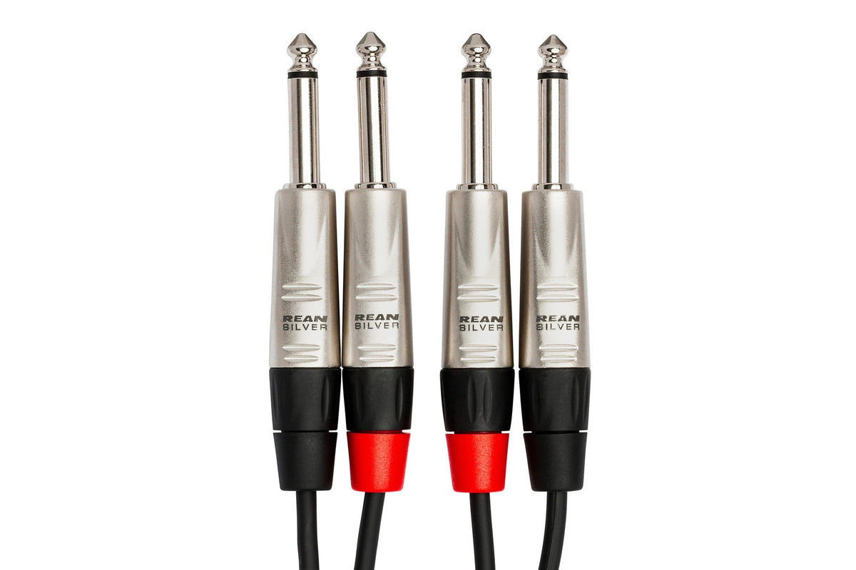 Hosa HPP-010X2 Pro Stereo Interconnect Cable - Dual REAN 1/4\" TS to Same - 10FT 2