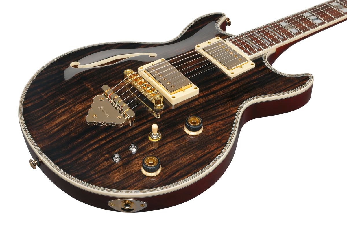 Ibanez AR520HMENT Standard Hollow Body Electric Guitar in Dark Brown, three-quarter front view