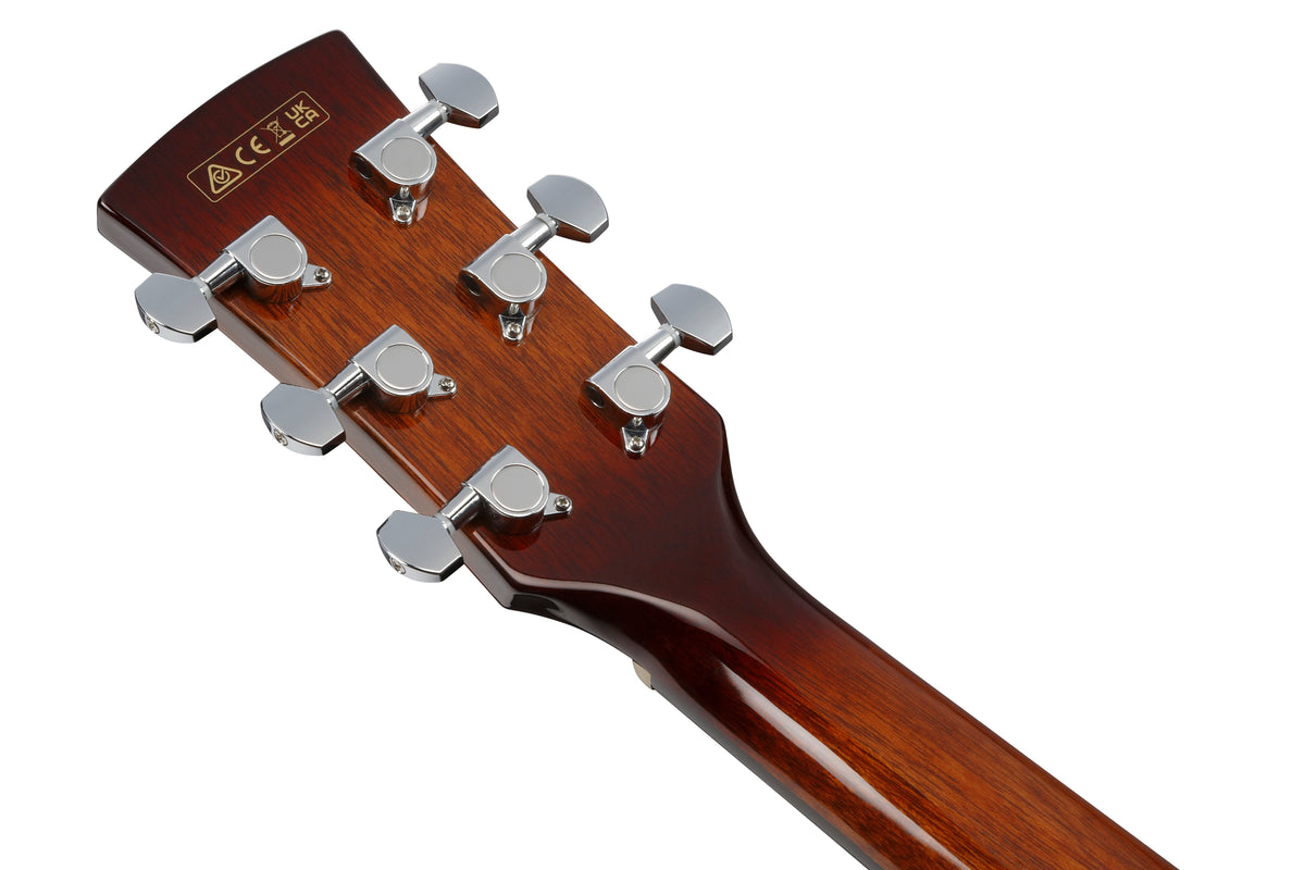 Ibanez PN50TKENDH Acoustic Electric Guitar - Natural High Gloss 3