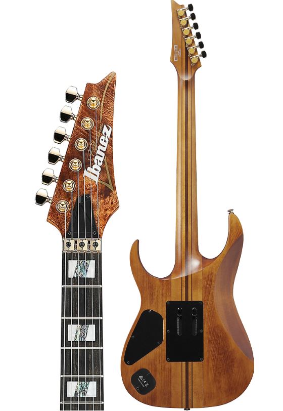 Ibanez RGT1220PBABS Electric Guitar back view with headstock front, Antique Brown Stained Flat
