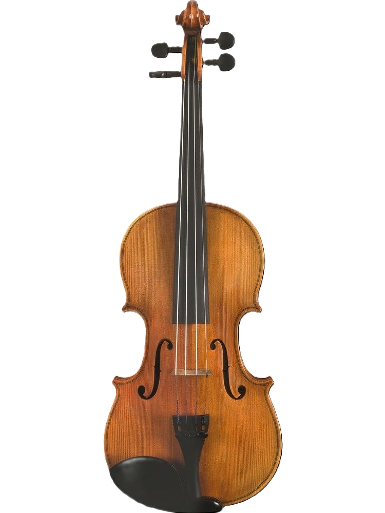 Maple Leaf Strings MLS140 Viola Outfit - 15\" 8
