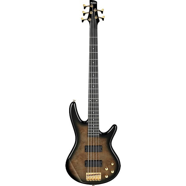 Ibanez Gio 5-String Electric Bass Guitar - Transparent Pale Black Burst 5