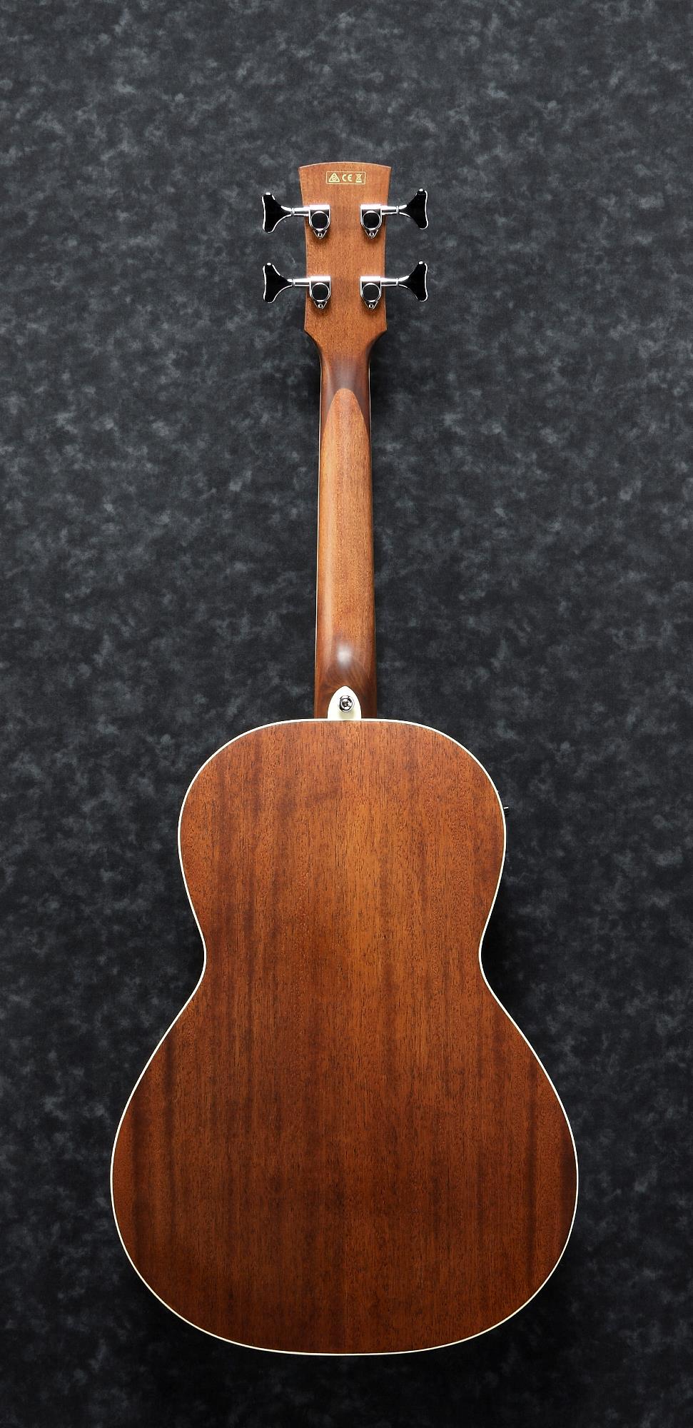 Ibanez PNB14EOPN Parlor Acoustic/Electric Bass (Open Pore Natural) 2