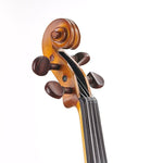 Stentor 1400A2 Stentor Student Violin - 4/4 Size 3