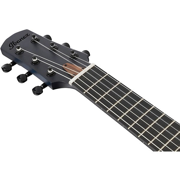 Ibanez AUP10N Nylon-String Piccolo Acoustic Electric Guitar - Transparent Blue Burst 6