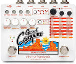 Electro-Harmonix Grand Canyon Delay and Looper
