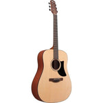 Ibanez AAD50LG Acoustic Guitar (Solid Top) - No Case 3