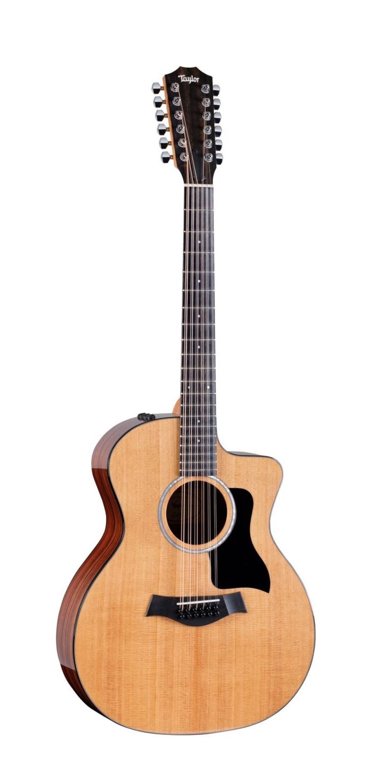 Taylor 254ce Plus 12-String Acoustic Electric Guitar with AeroCase 5