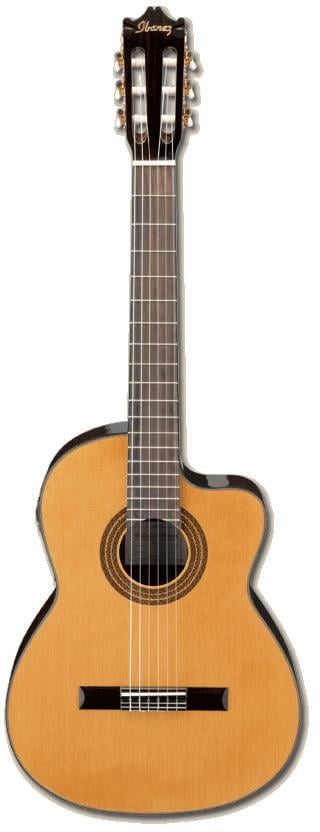 Ibanez GA6CE Classical Acoustic Electric Guitar 2