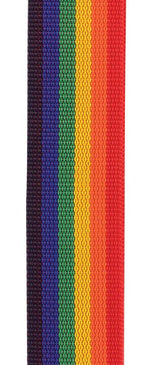 D'Addario PWSAL411 Poly Pro Auto Lock Strap (Rainbow) 2