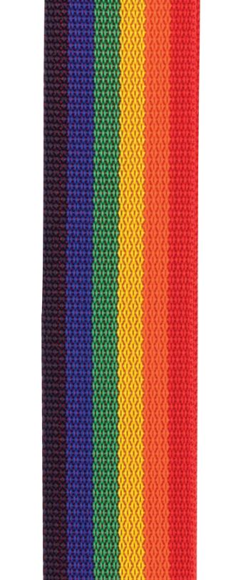 D'Addario PWSAL411 Poly Pro Auto Lock Strap (Rainbow) 2
