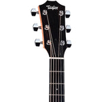 Taylor 210ce Dreadnought Acoustic Electric Guitar - Natural 3