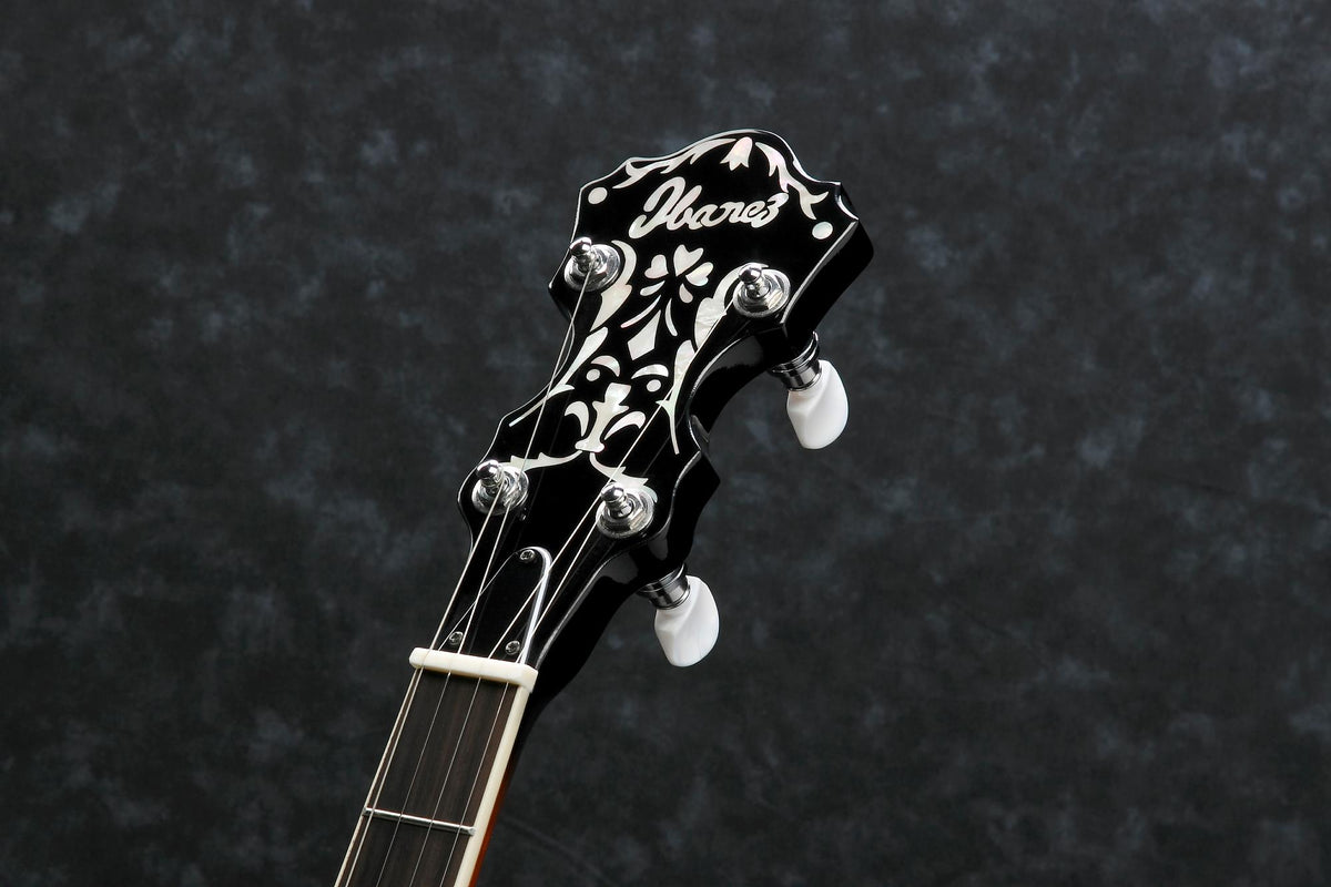 Ibanez B200 5-String Resonator Banjo - With Basswood Rim 3