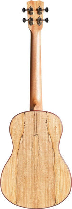 Cordoba 24B Solid-Top Baritone Ukulele 3
