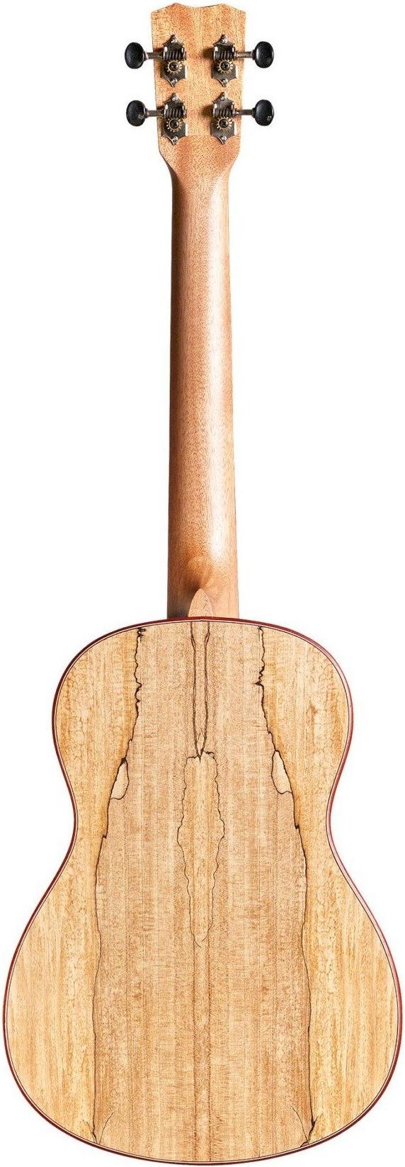 Cordoba 24B Solid-Top Baritone Ukulele 3